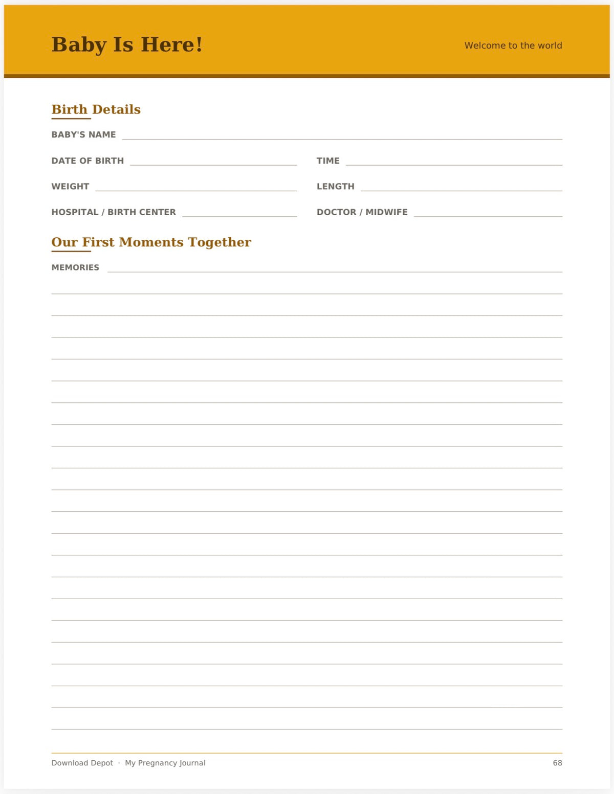 My Pregnancy Journal