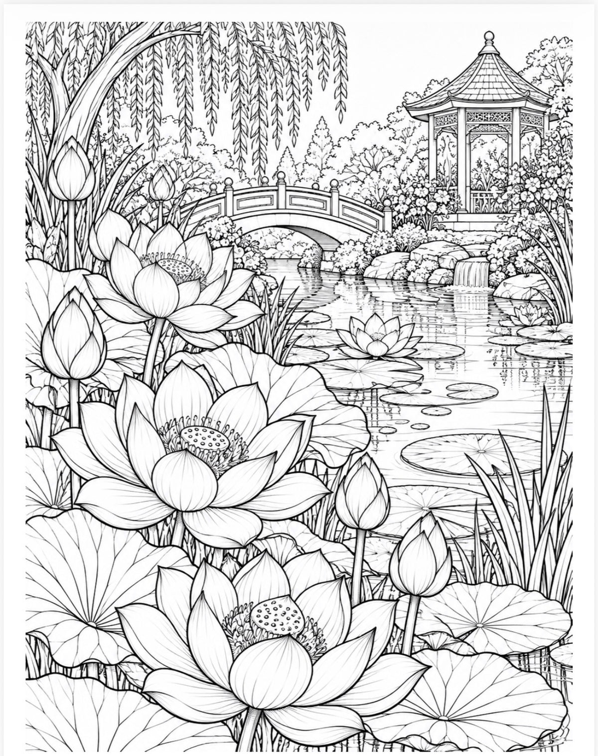 Beautiful Flowers Adult and Teen Coloring Bundle (Digital Download)